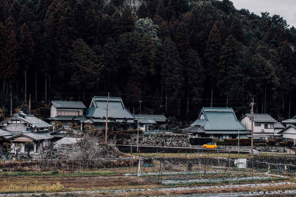 現代 農業 食料自給率 高齢化 耕作放棄地 日本