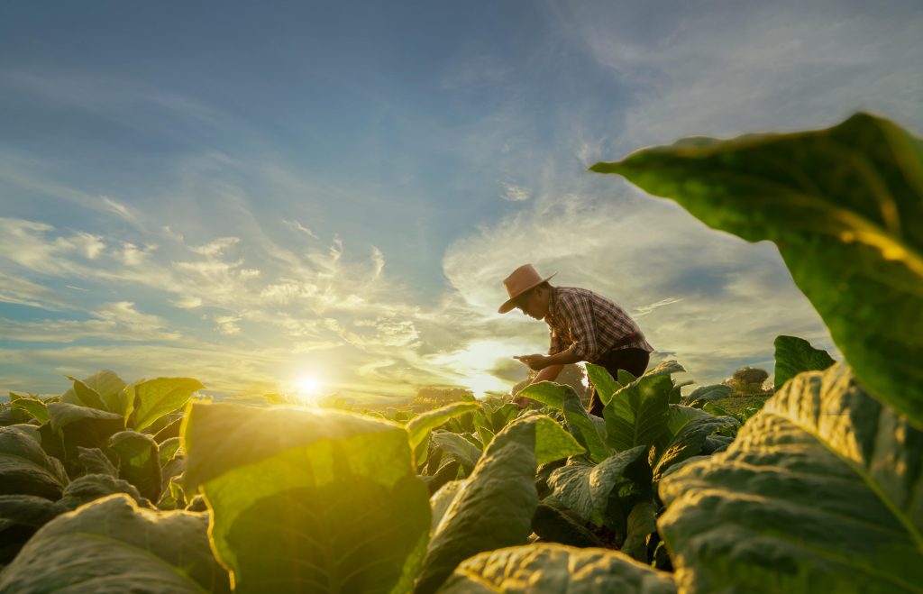 農業 気候変動 食糧危機 農業人口 生産緑地の2022年問題 日本