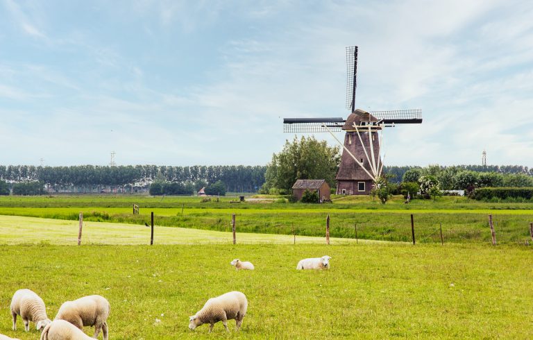 農業 オランダ